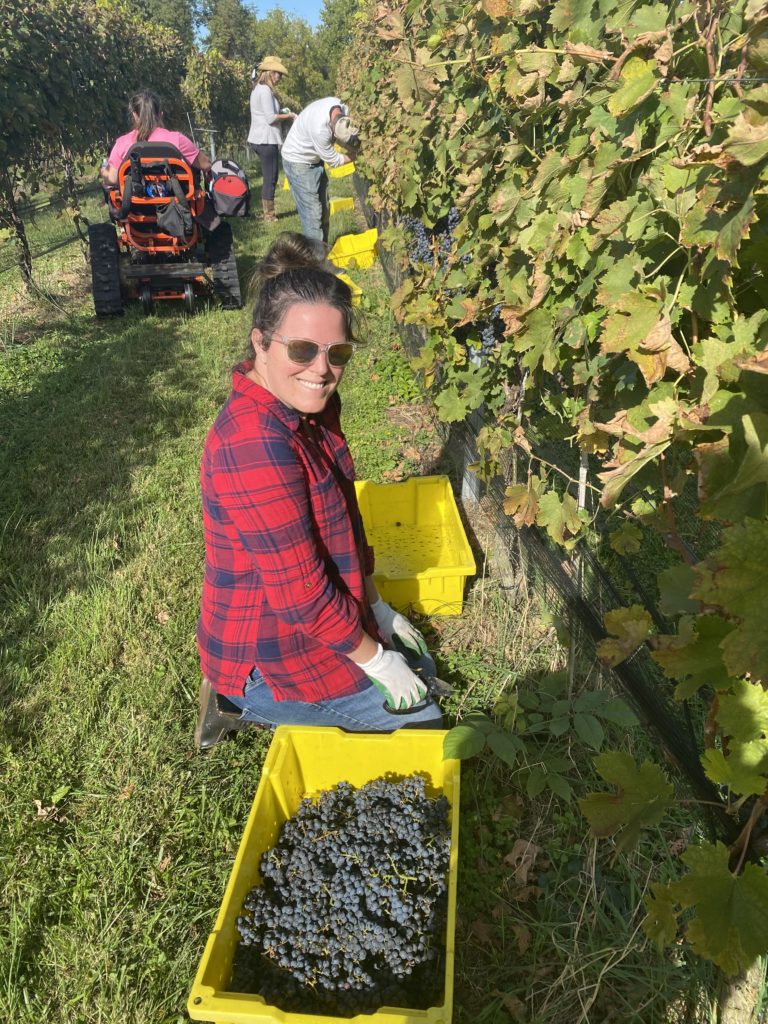 CrossPollination Overlapping Worlds of Wine & Consulting The Clearing